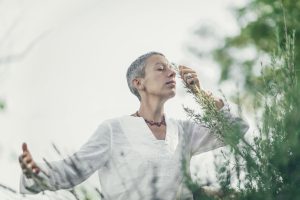 Le secret bien gardé de la cuisson du romarin : Une pratique populaire décodée