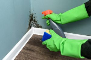 4 Astuces efficaces pour éradiquer les moisissures de votre maison