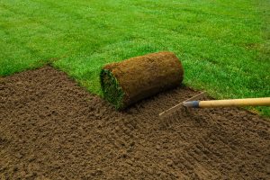 Pour votre jardin, pelouse ou gazon ?