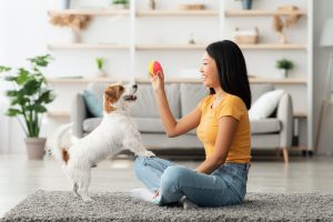 Ces chiens conservent ce comportement toute leur vie
