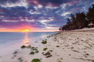 Voici la meilleure période pour visiter La Réunion