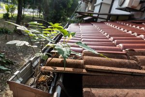 Nettoyez vos gouttières facilement grâce à ces astuces infaillibles