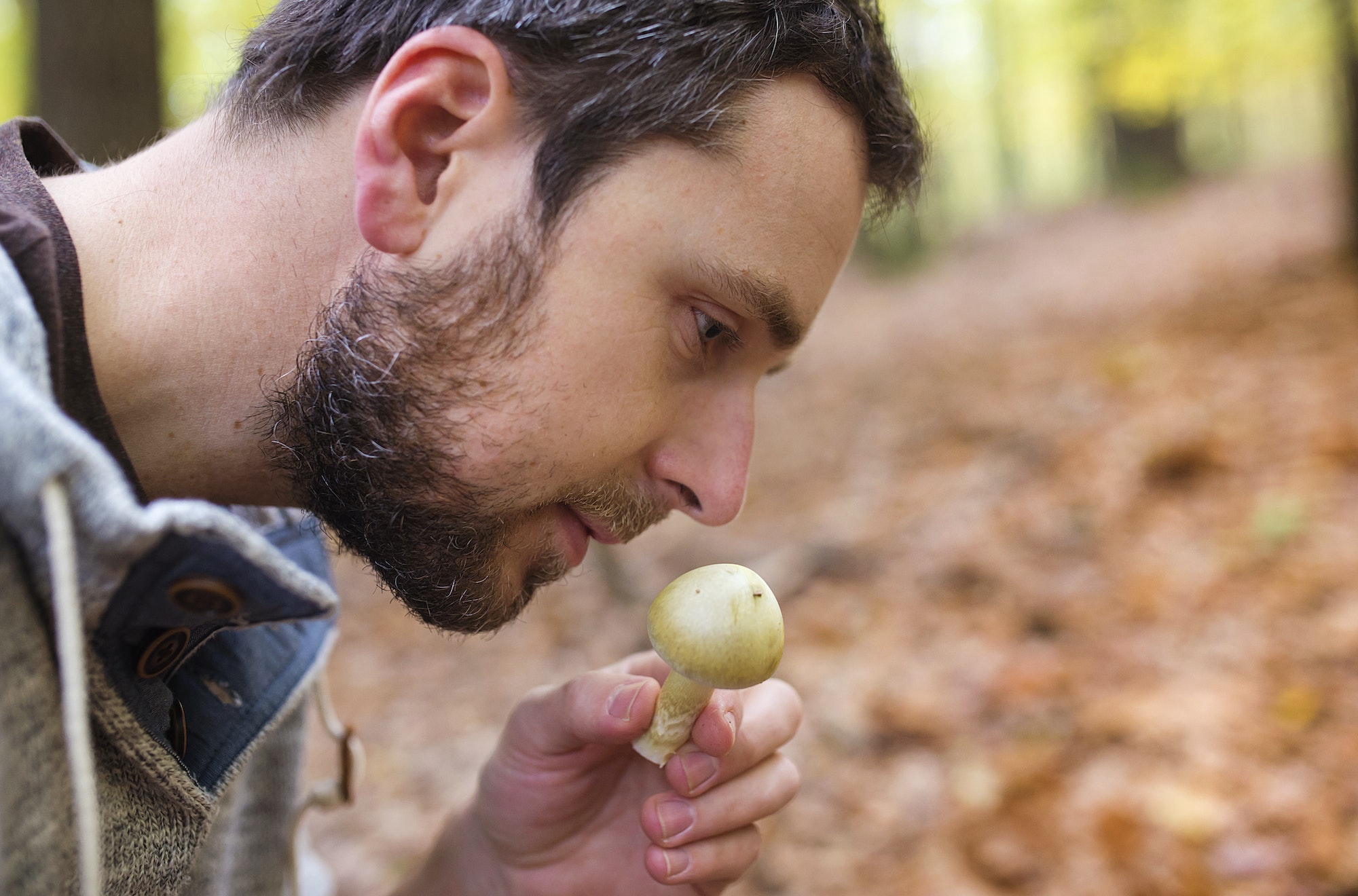 Alerte champignons : Augmentation inquiétante des intoxications