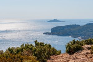 Escale à La Ciotat : Secrets cachés des calanques révélés !