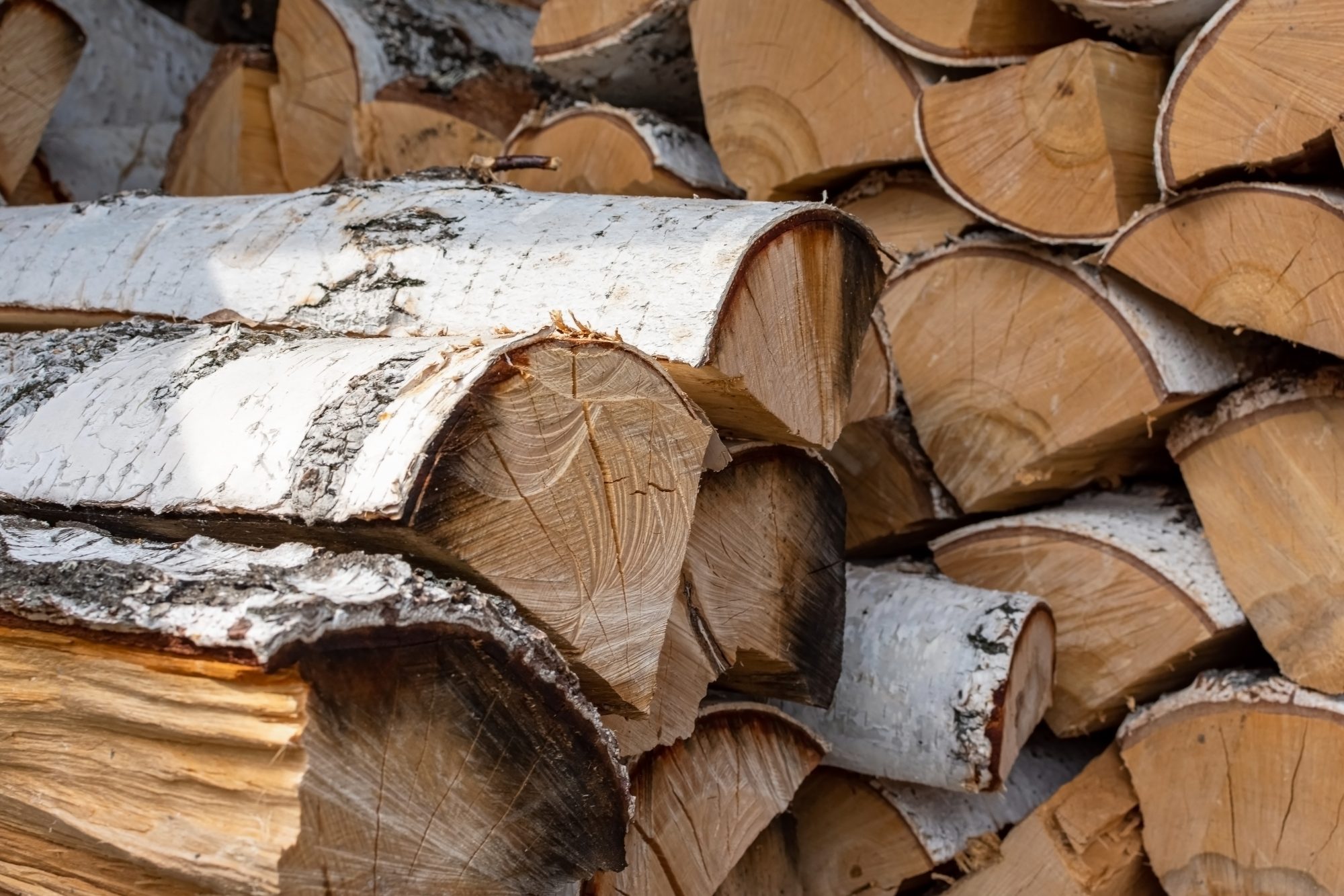 Techniques et conseils efficaces pour sécher le bois