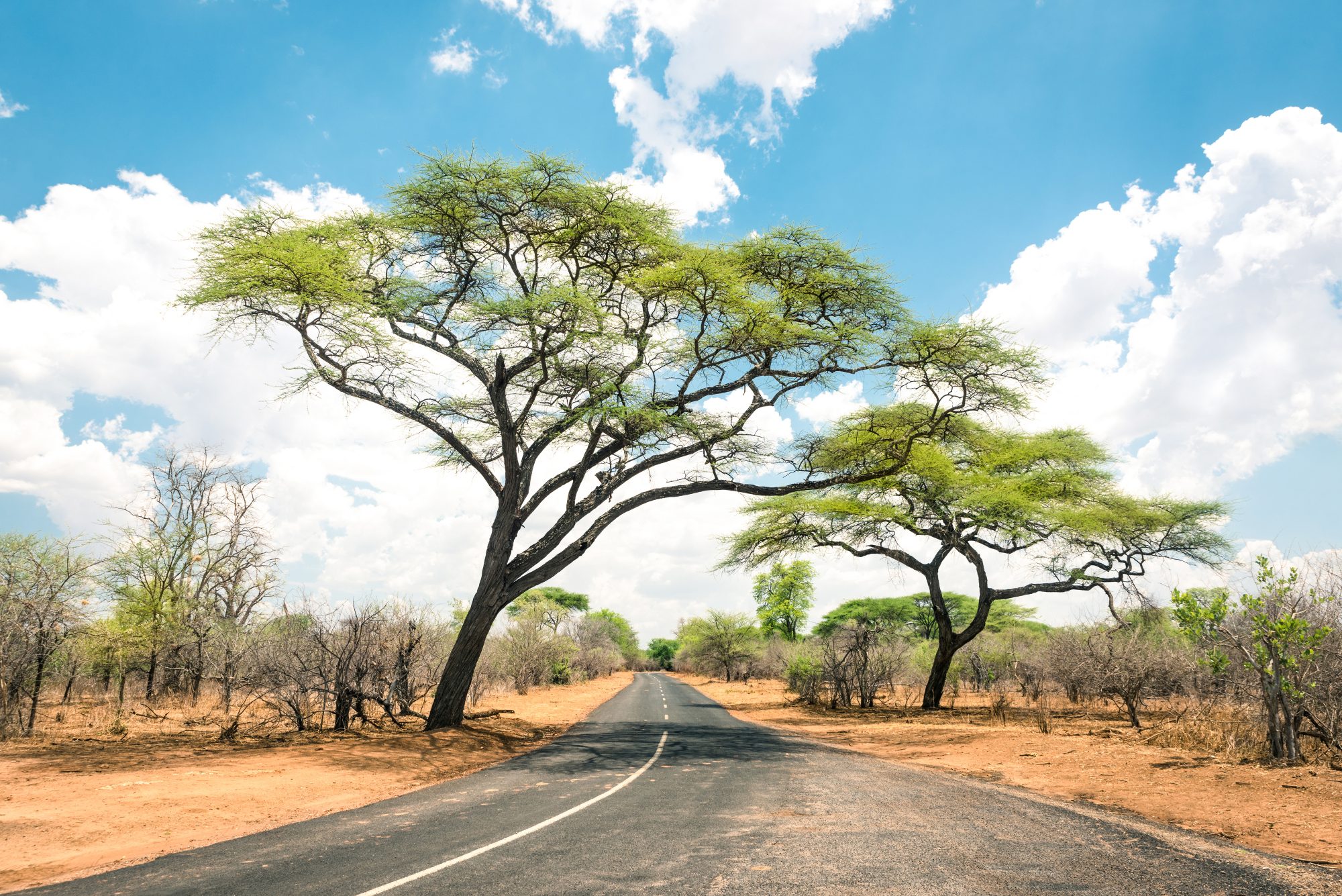 Préparatifs pour une exploration inoubliable des mystérieuses ruines du Grand Zimbabwe