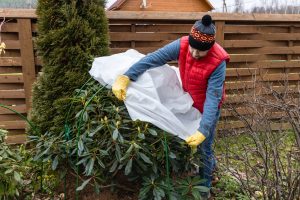 Les secrets du jardinage en hiver pour une explosion de couleurs au printemps