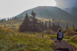 Un voyage au cœur des Appalaches : une aventure sur le plus long sentier pédestre du monde