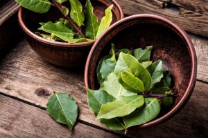 Les feuilles de laurier : un trésor caché pour votre maison