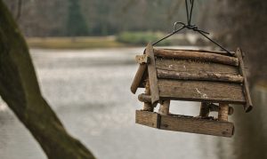 Voici comment créer un espace propice à la nidification des oiseaux dans votre jardin