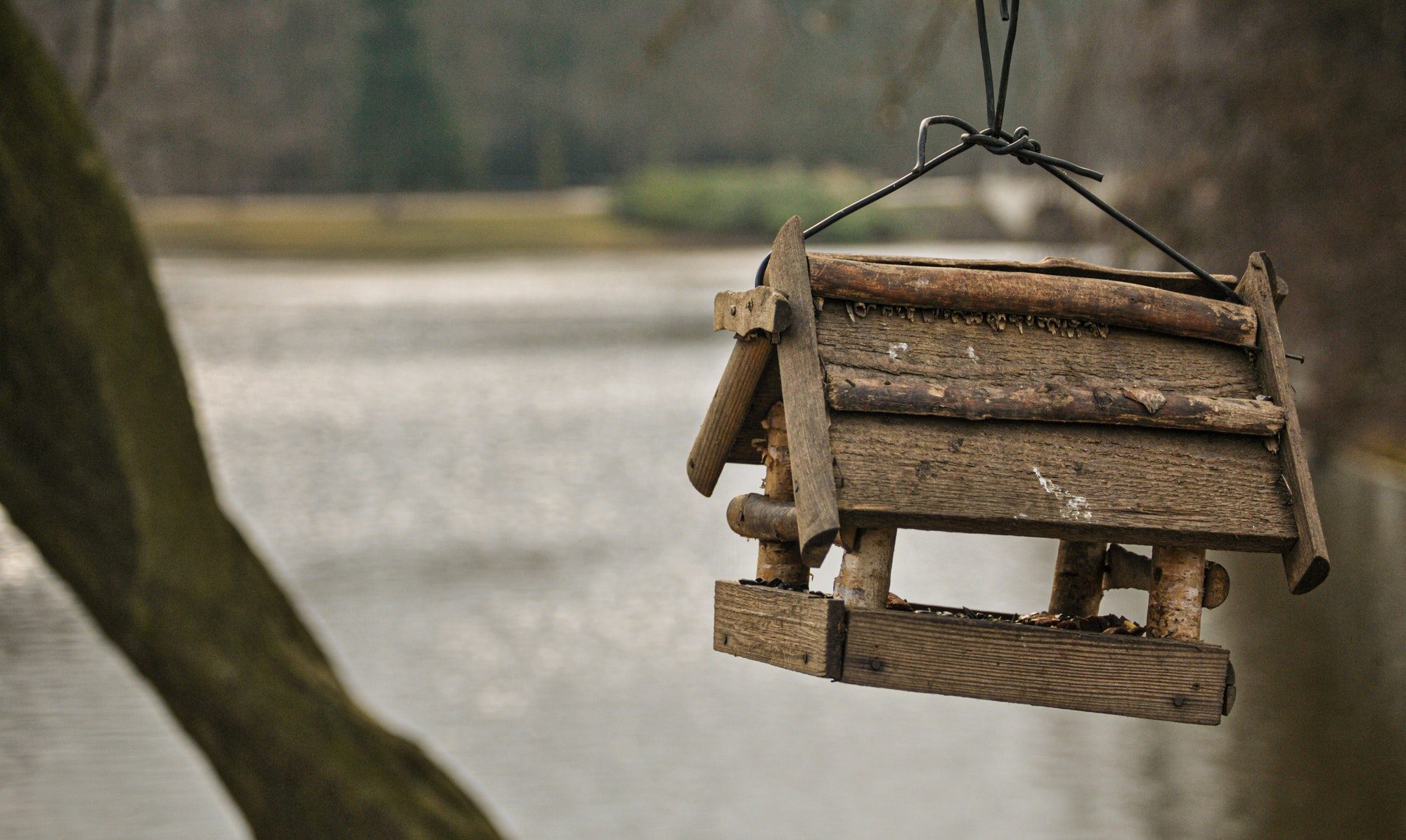 Voici comment créer un espace propice à la nidification des oiseaux dans votre jardin