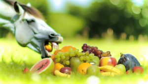 Un cheval en train de manger une pomme avec d'autres fruits, comme des carottes, des bananes, des poires, des cerises, des fraises et des raisins, disposés à proximité.