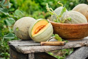 Ne vous faites plus jamais avoir : cette astuce infaillible pour choisir un melon parfaitement mûr